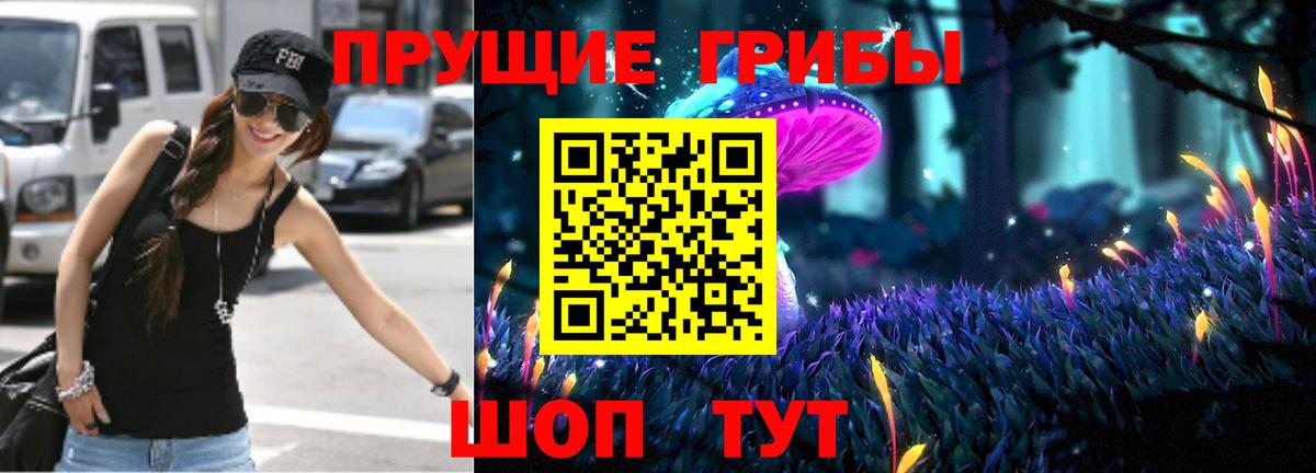 Псилоцибиновые грибы GOLDEN TEACHER  Вход с VPN  Черкесск 